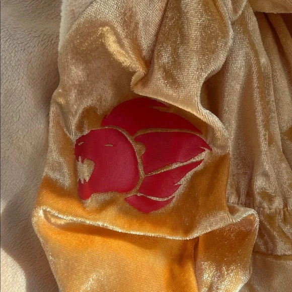 Disney Lion Guard Kion Kids Costume - Size Large Gold & Orange - Picture 6 of 6